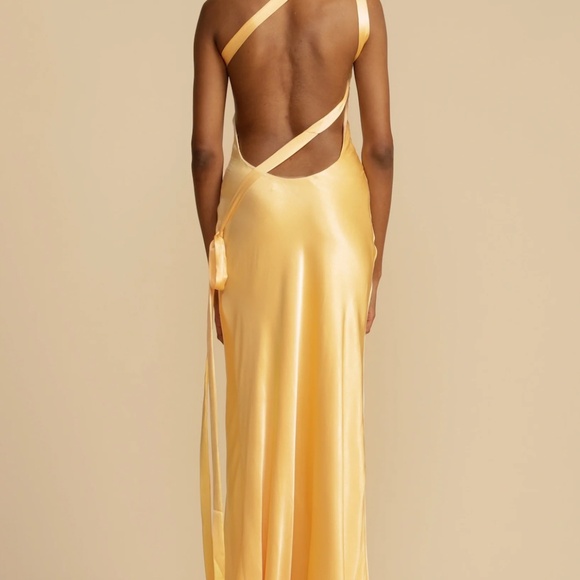 Arcina Ori MONIQUE DRESS SUNSHINE - Picture 2 of 2